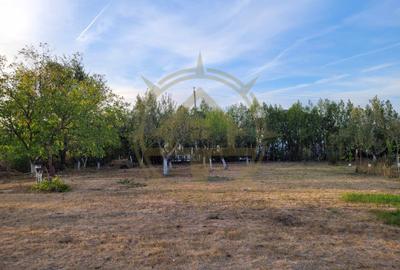 DOM00438 - De vanzare teren intravilan 1000 mp. Corbeanca - 3