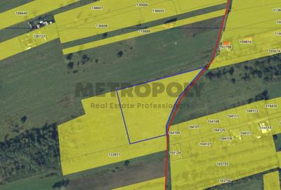 Teren intravilan 10.000 mp, zona Calea Cisnadiei - 2