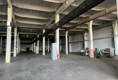 Hală industrială 3.600 mp cu acces cale ferată – Buftea - 7