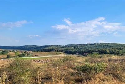 Teren intravilan la Inelul Metropolitan, Haieu,Sanmartin,Bihor