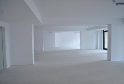Birouri  205-805 mp, cladire birouri ultralux Eminescu-comision zero - 11