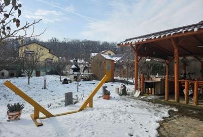Oferta in chiriere ap3 camere in vila, Gavana, 400 euro - 20