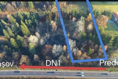 Teren Construcții intravilan de 10000 mp, în Timișu de Jos