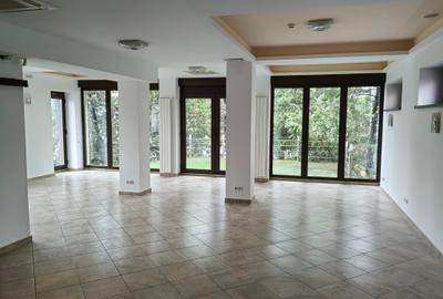 VANZARE VILA S+P+1+M  Baneasa - 9