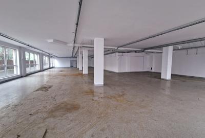 Spaciu comercial parter , bloc nou , 440 mp +Terasa si Locuri Parcare . - 6