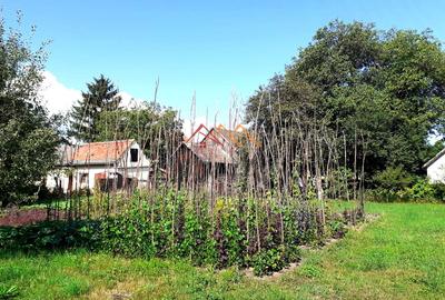 Casa 3 camere, teren 3625 mp, toate utilitatile, Sacele, Brasov - 6