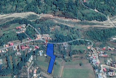 Teren intravilan 4.733 mp - Drajna de Jos, Prahova - 1