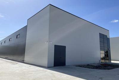 Spatiu de depozitare si productie Mogosoaia - 4