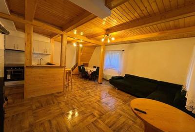 Cabana la Lac Colibita 8 camere, terase si 1650 mp teren - 17