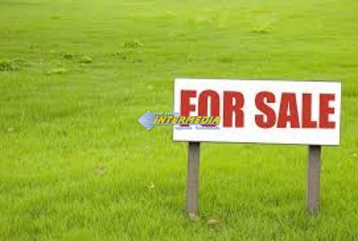 Teren Construcții intravilan de 453 mp, în Cetate