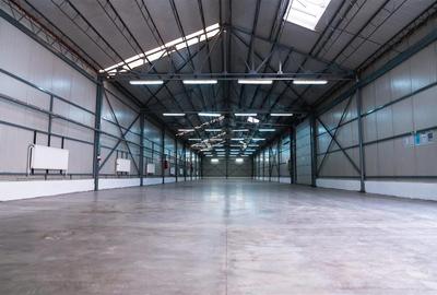 Hala industriala depozitare+ Birouri,425 mp, acces tir - Dorobantilor - 2