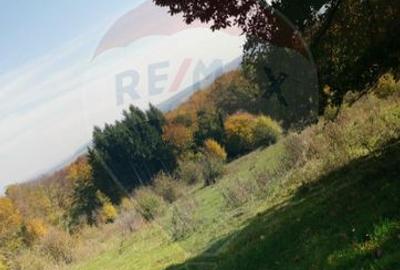 Teren aproape de pădure, situat într-o zonă aerisită - 4