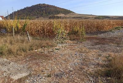 Teren 4606 mp-ideal investitie-Sarata - 1