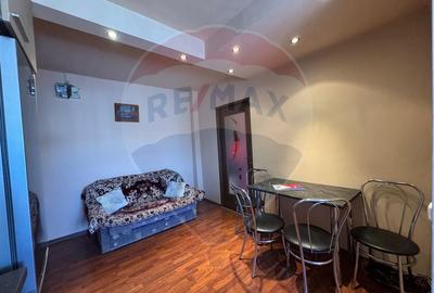 Apartament 2 camere-Micalaca( aproape de Univ.Aurel Vlaicu) - 6
