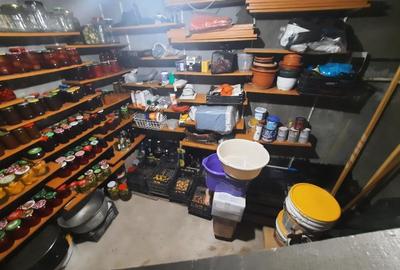 FARA COMISION casa 4 camere 2 bucatarii 2 puturi beci livada 1500mp SAU 3300mp - 20