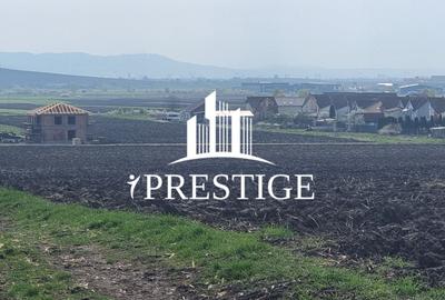 TEREN DE VÂNZARE ȘURA MICĂ 10.000 MP | 2 FRONTURI STRADALE, INVESTIȚIE - 8
