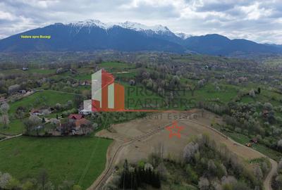 Parcele 1000 mp Sohodol - 2