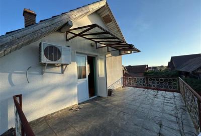 Casa independenta , vintage de vanzare , 300 mp cu teren de 1493 mp Sancrariul d - 22