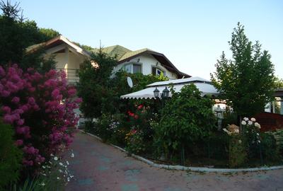 Vila piscina superba gradina matura cu iesire directa la padure - 40