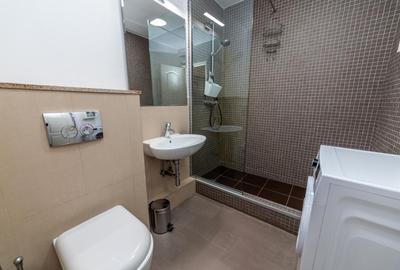 Apartament 2 camere | Zona Piata Alba Iulia - 13