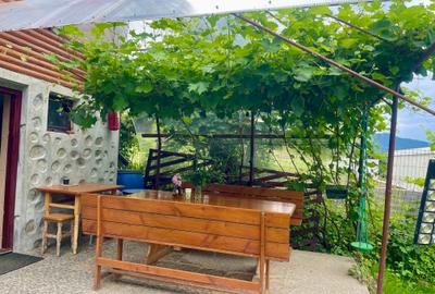 Inchiriem cabana in Calimanesti (Seaca), cu ponton la Olt, gradina - 5