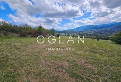 Teren Tocile (parcelabil) 3500 mp - 13