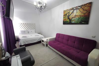 Otopeni | Pretabil cămin seniori, centru recuperare | Hotel boutique - 5