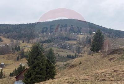 Teren de vanzare în inima Apusenilor –  6.500 mp Arieșeni - 14
