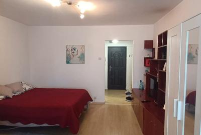 Dristor, garsoniera, 6 minute metrou, mobilat, utilat, renovata recent - 9