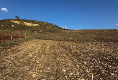 Vand sau schimb Teren extravilan 9000 mp,Corușu, Baciu acces drum apa curgatoare - 14