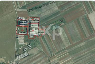 Teren industrial intravilan – 12 ha – toate utilitățile – Teiu, Argeș - 1