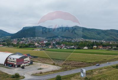 Teren 440mp Sacele - Strada Gospodarilor - 1