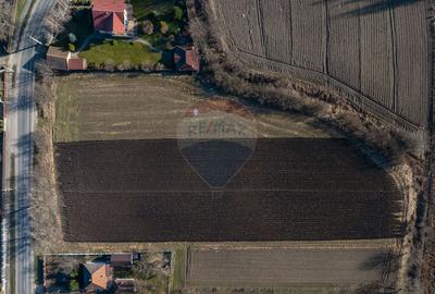 Teren intravilan 9.000 mp pentru dezvoltare rezidențială sau mixtă - 10