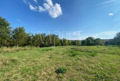 Teren intravilan pentru constructii de vanzare in Borhanci, Cluj Napoca - 3