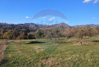 Teren Construcții intravilan de 1808 mp, în Șișești