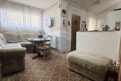Apartament 3 camere, curte de 140 mp, Bariera Valcii, comision zero - 13
