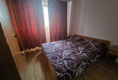 Drumul Taberei Valea Argesului mobilat complet decomandat bloc reabilitat - 5