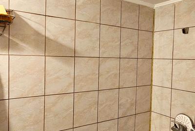 Apartament 1 camera, etaj2,mobilat si utilat, cartier Lenin - 9