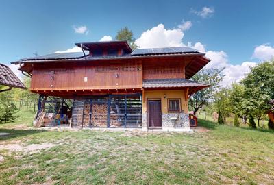 Proprietate unică în Piatra Doamnei – Corbi, Argeș - 10