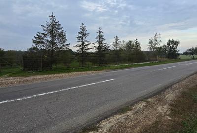 LIVADA  DE VANZARE FOCSANI-DUMBRAVITA  1,8  HA - 24