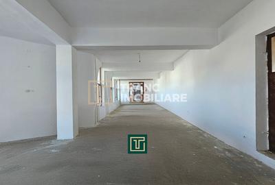 Proprietate multifunctionala - teren generos, cladire si hala in Lugoj - 16