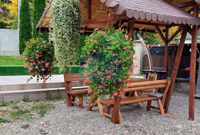Complex turistic de vânzare, chiar în centrul stațiunii Durău. - 22