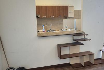 Calea Vacaresti -Metrou Piata Sudului - 2 camere , pet friendly - 13