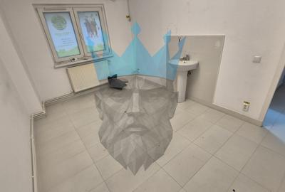 Spatiu Comercial Tei - 14