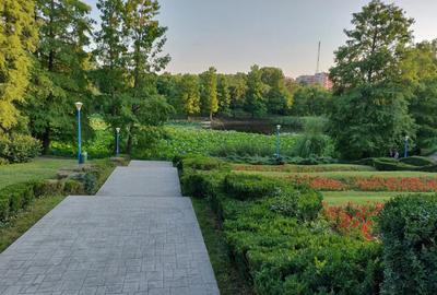 2 camere vedere Parcul Circului - parter | Lacul Tei-Barbu Vacarescu - 10