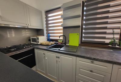 Apartament de inchiriat, 2 camere, semidecomandat, 44 mp, Valea Adanca - 7