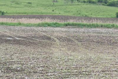 Teren intravilan 1000 mp cu utilitati-ideal casa P+2E-Sarata - 1