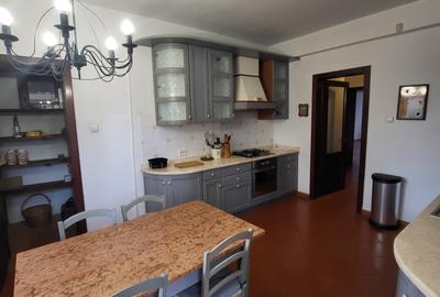 Vila lac snagov in cea mai buna portiune a lacului, ponton, garaj barca, piscina - 16