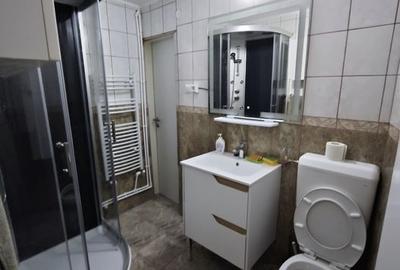 Apartament 3 camere Unirii - Zepter, CENTRALA, mobilat si utilat complet, liber - 9