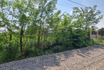 Teren Construcții intravilan de 4800 mp, în Central